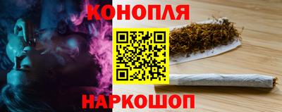 jwh Кингисепп