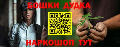 jwh Кингисепп