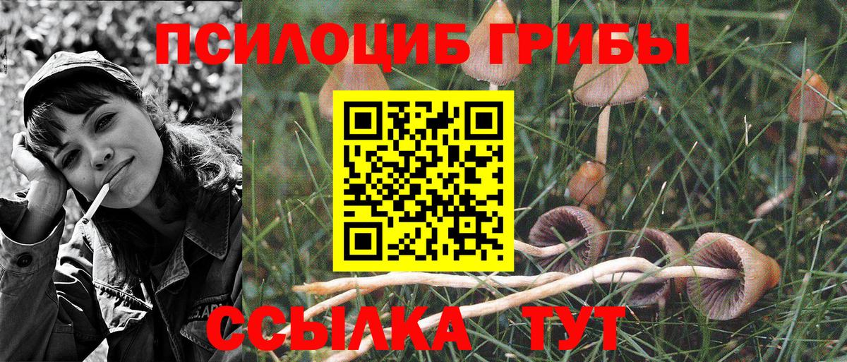 Галлюциногенные грибы мицелий Алатырь